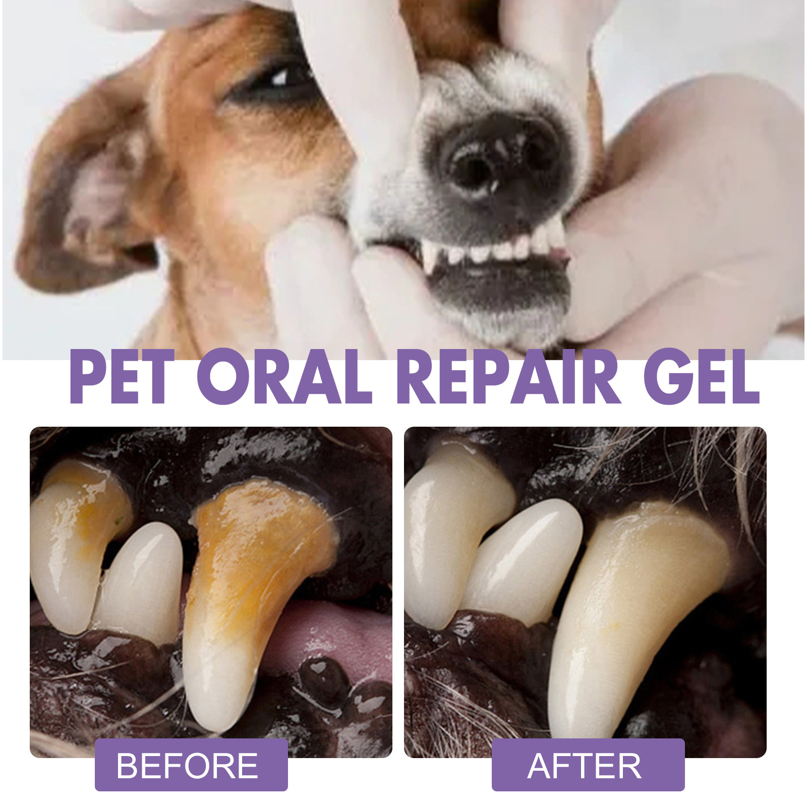 Gel de reparación Oral para ma - Teeth Whitening App reseña y precio
